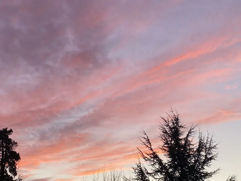 Benmmmmmorgan (18) male from GB - sexting partner