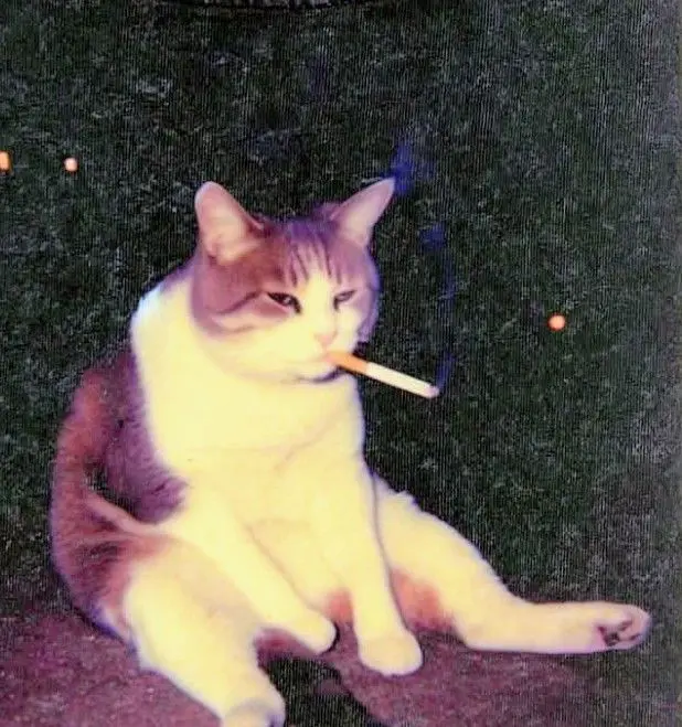 Himmm (42) male from US - sexting partner