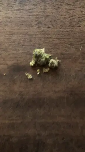 Ihaveabwd (19) male from US - sexting partner