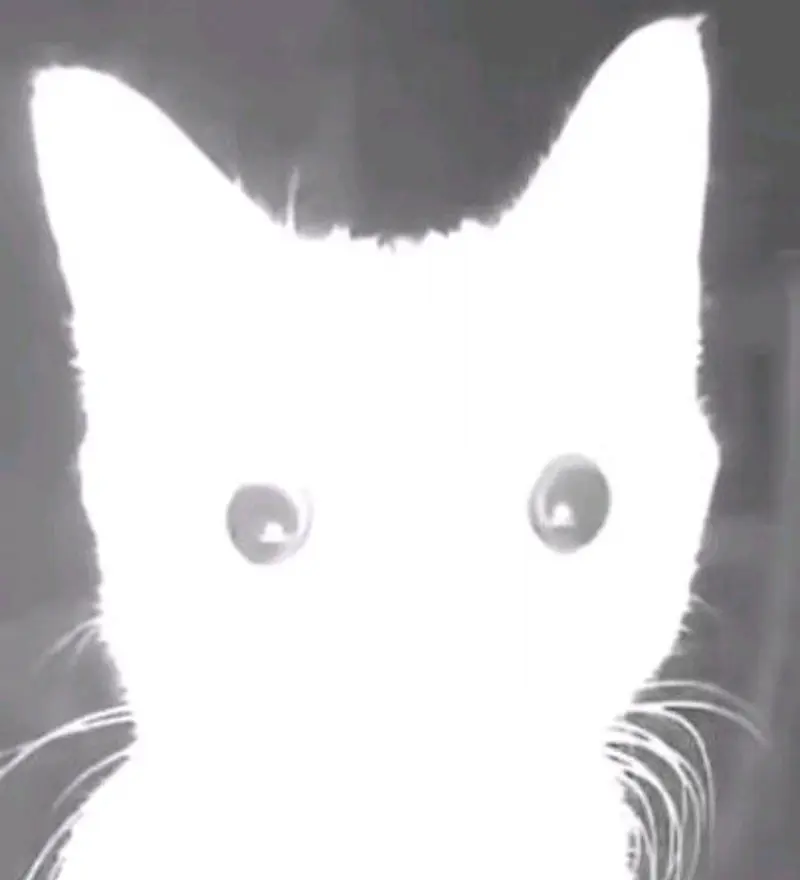 Karachi (18) male from US - sexting partner