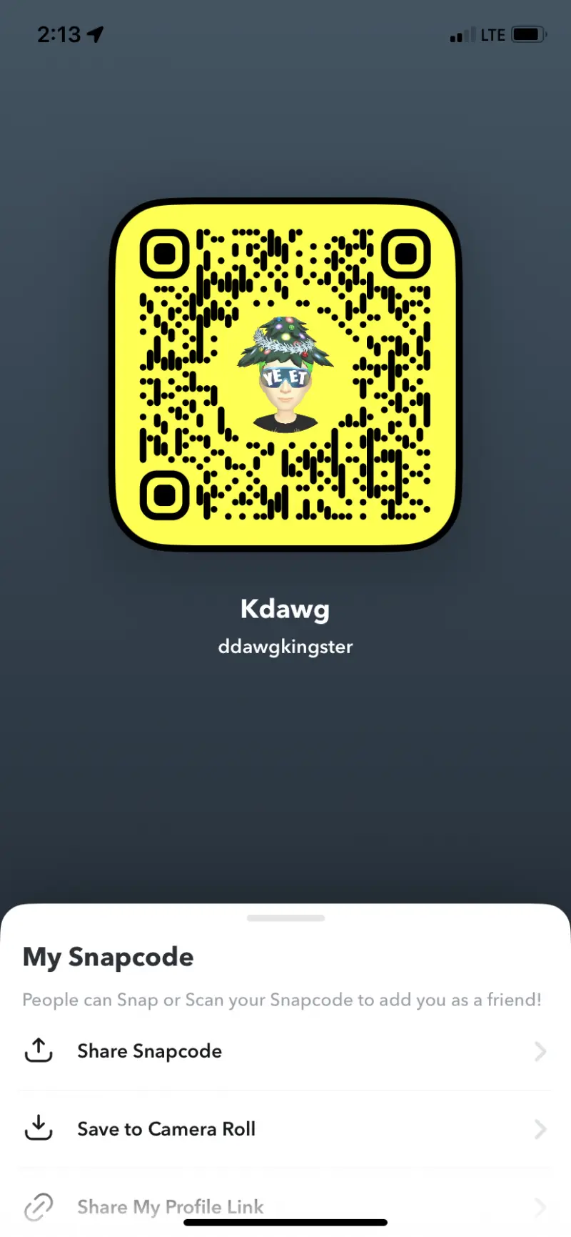 Kdawg (18) male from US - sexting partner