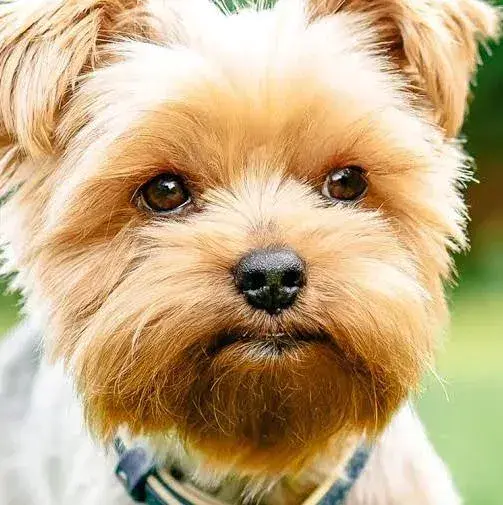 Lane (21) male from US - sexting partner