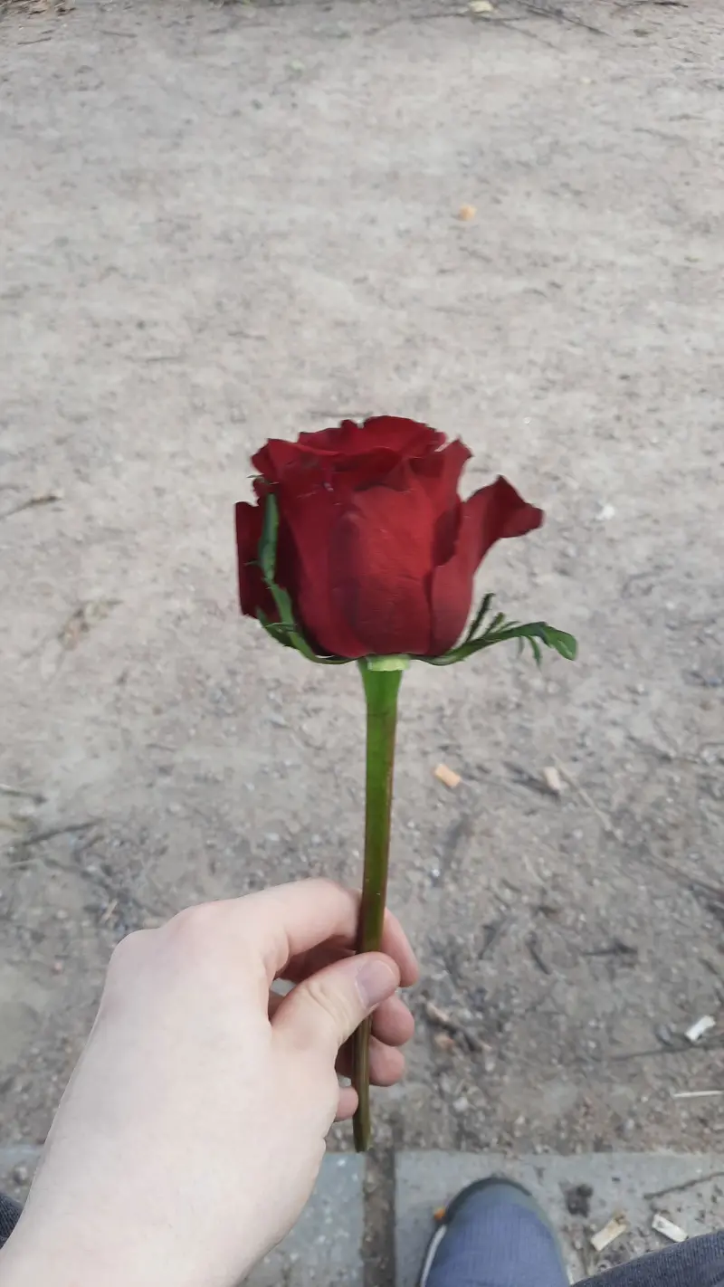 Lukasjt (18) male from DE - sexting partner