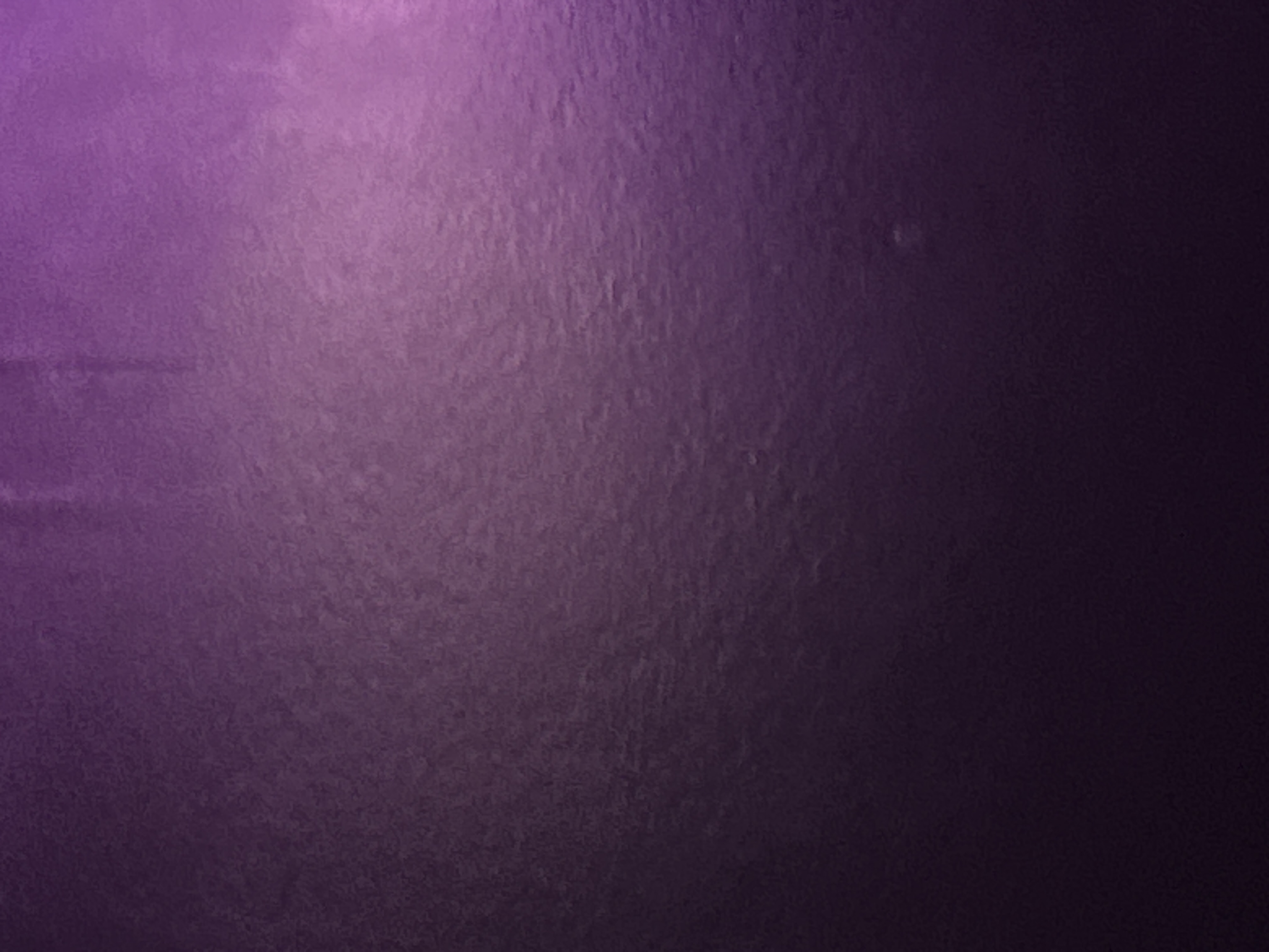 Meat193729282 from US