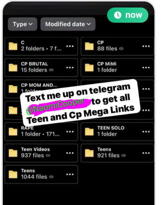 MegaFileContient from DE