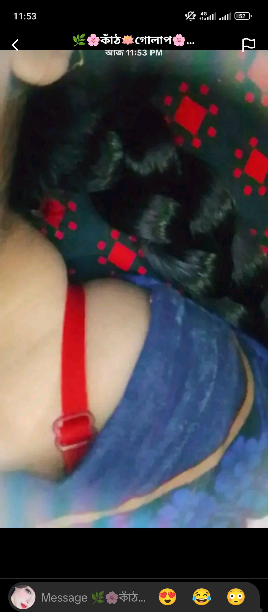 Nancynills254g from US