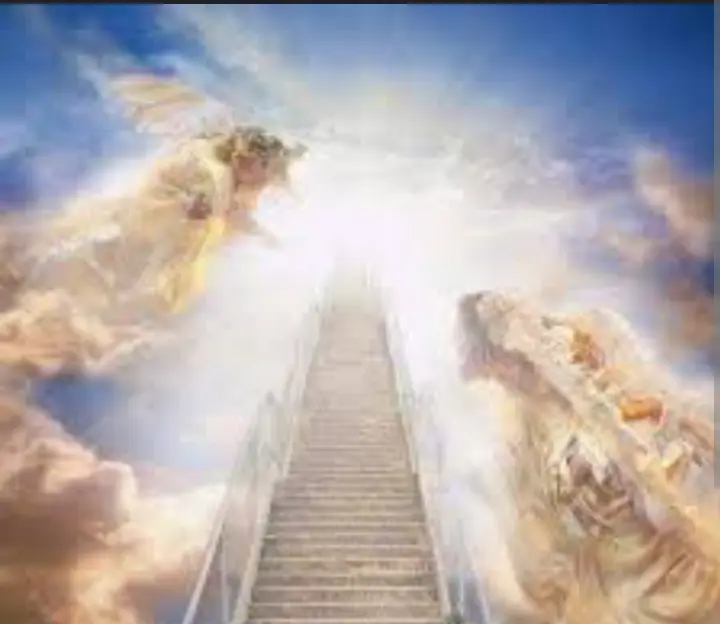 RC18865346 (19) male from US - sexting partner