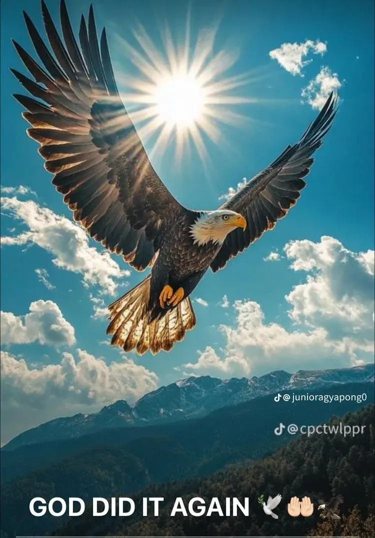 Techsavvy442 from GH