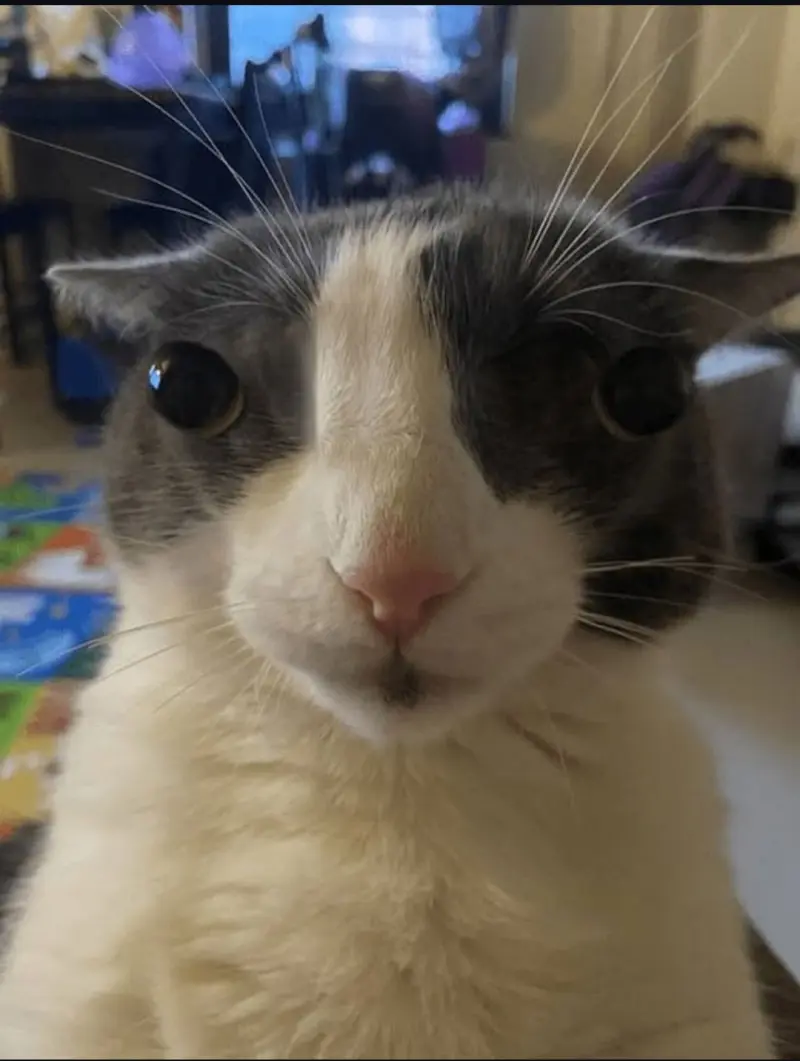 Zkilled (18) male from CZ - sexting partner