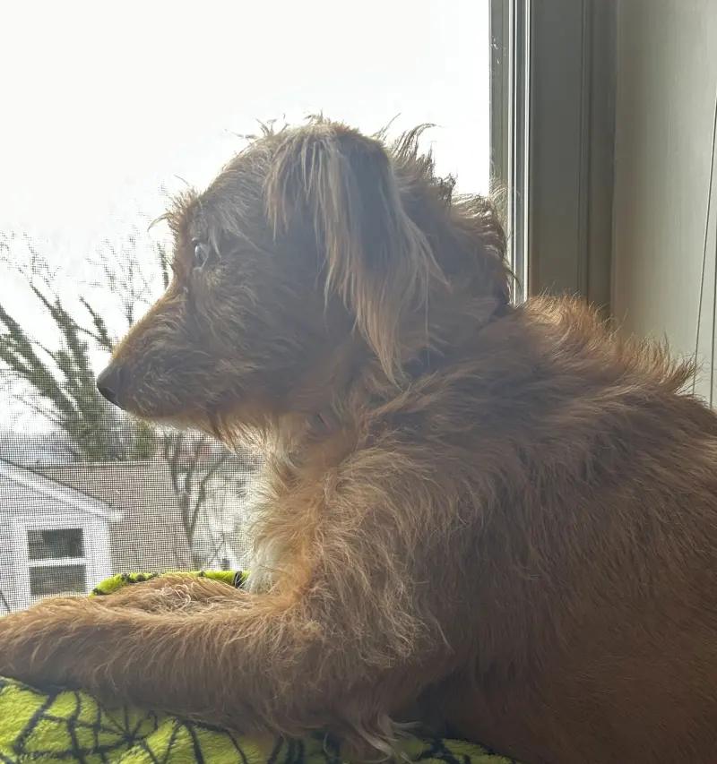 a6898568 (18) male from US - sexting partner