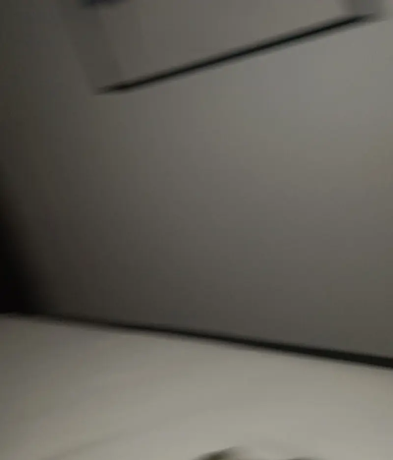 alexingenmail from DK