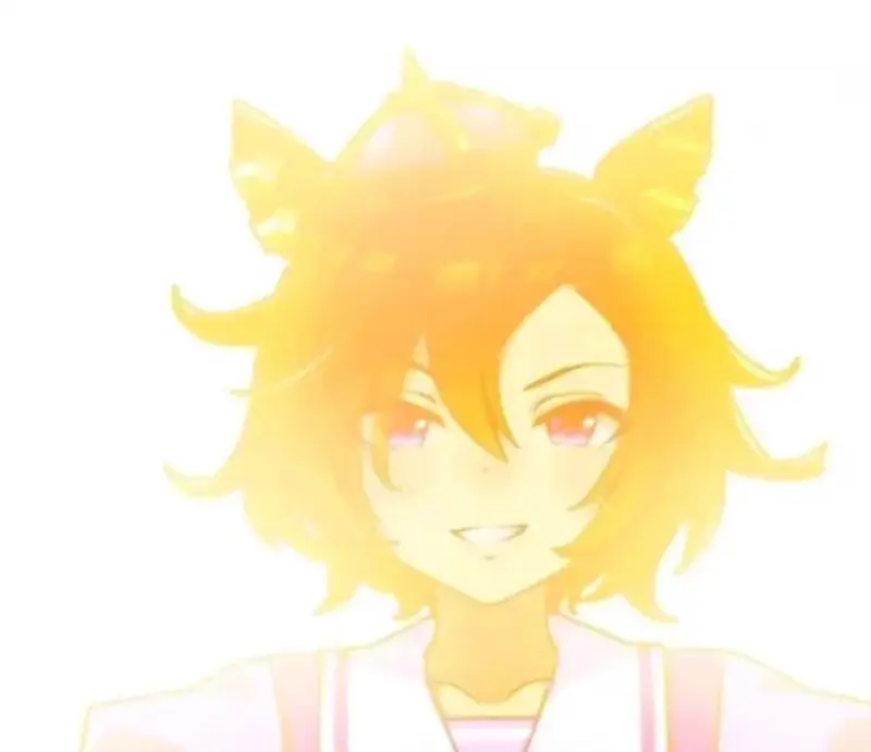 animelover - 18 years old male from United States sexting partner