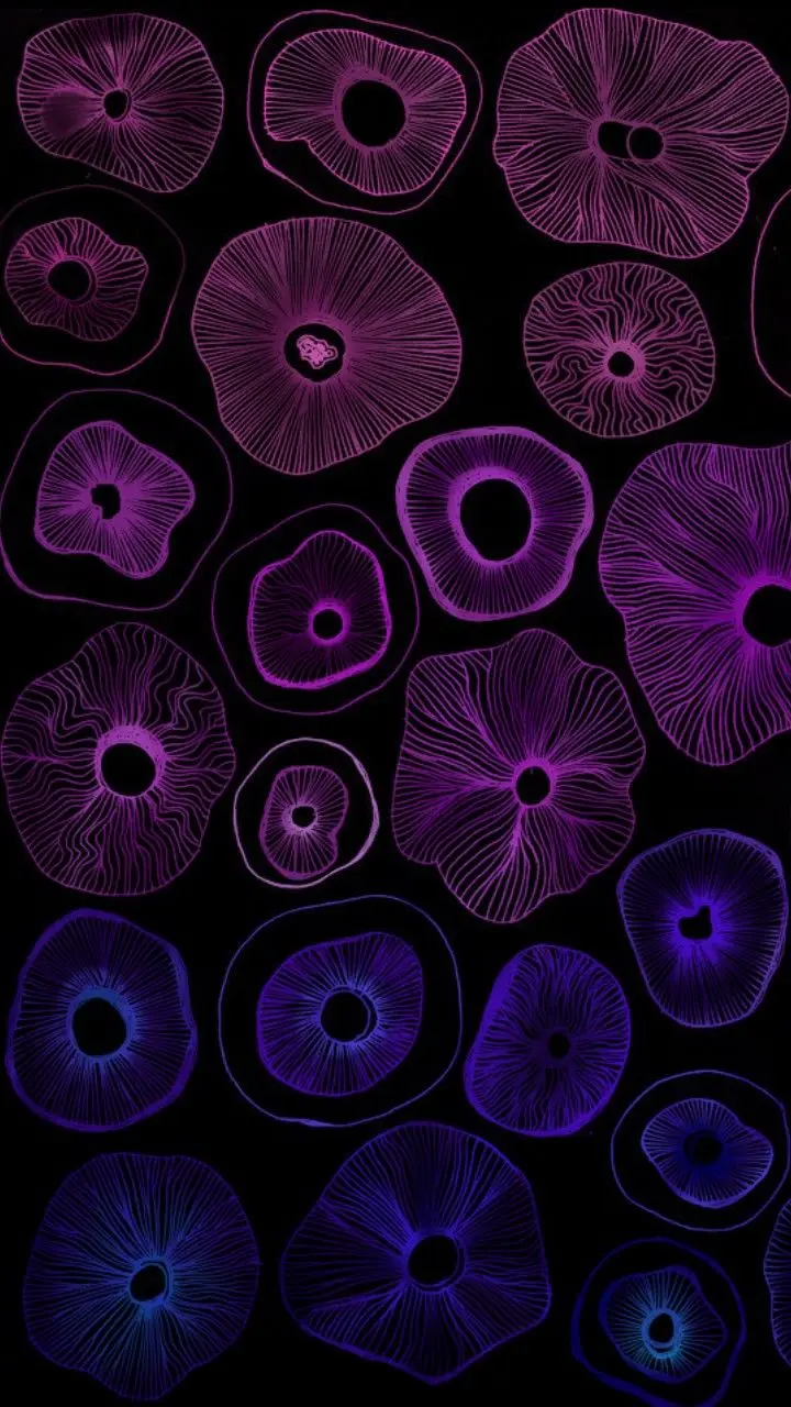 boylematthew55 (18) male from US - sexting partner