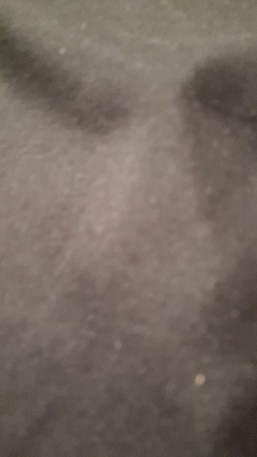 brownzach698 from US