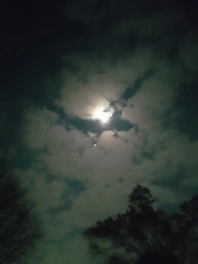 bw4126827 (20) male from ZA - sexting partner