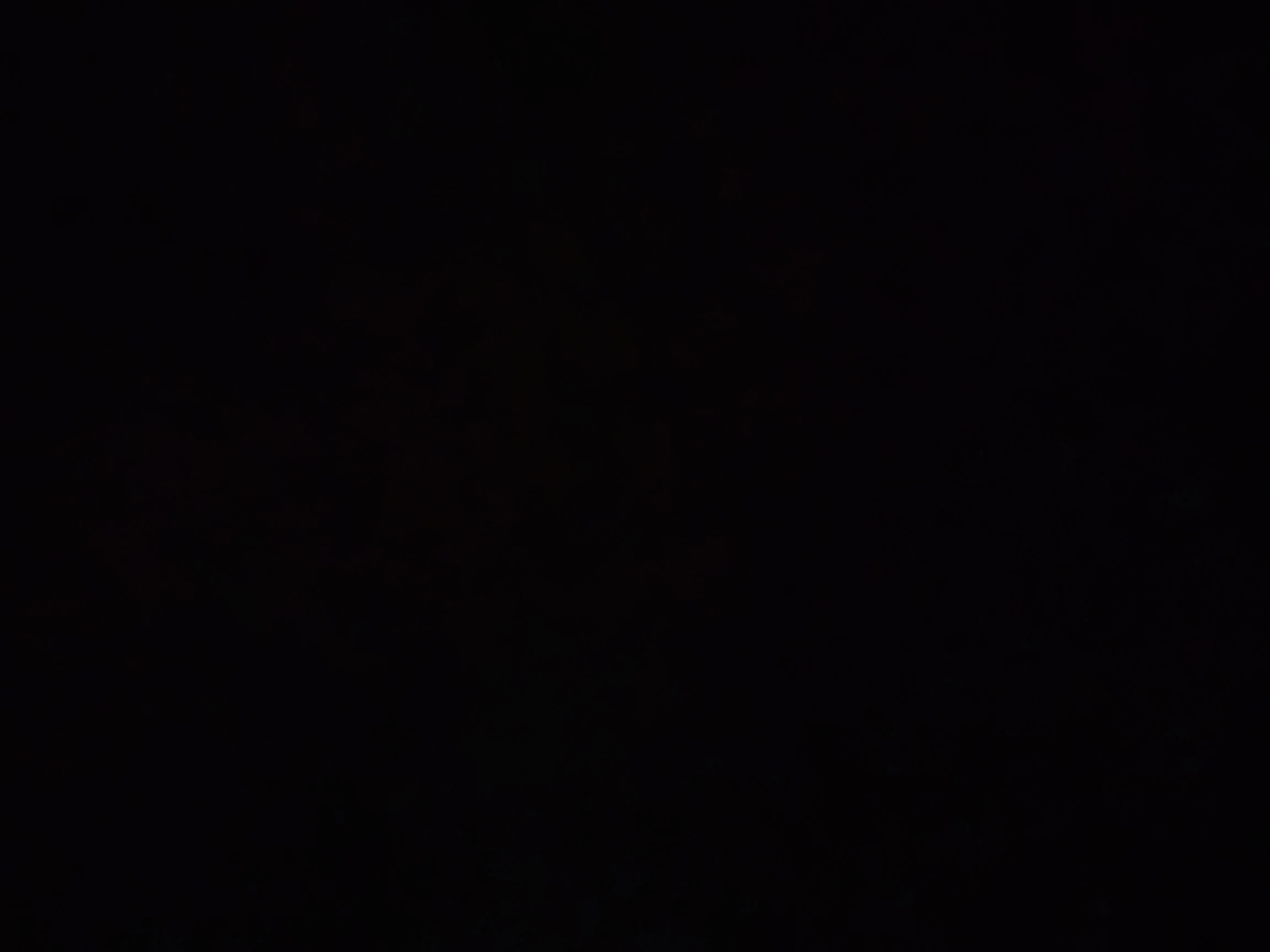 catherina33rst from US