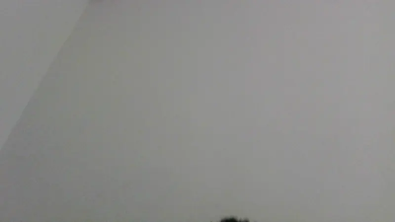 chill_guy231 from US