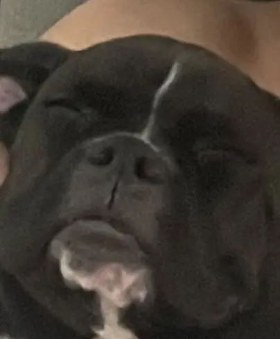 connorcoolguy33 from US