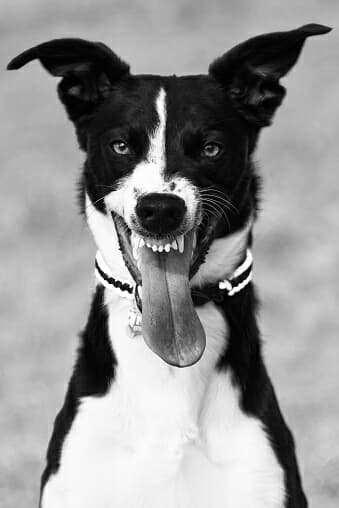 cotobedziecotobedzie from PL