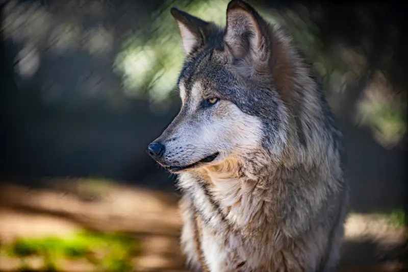 cowboyjerky123 from US