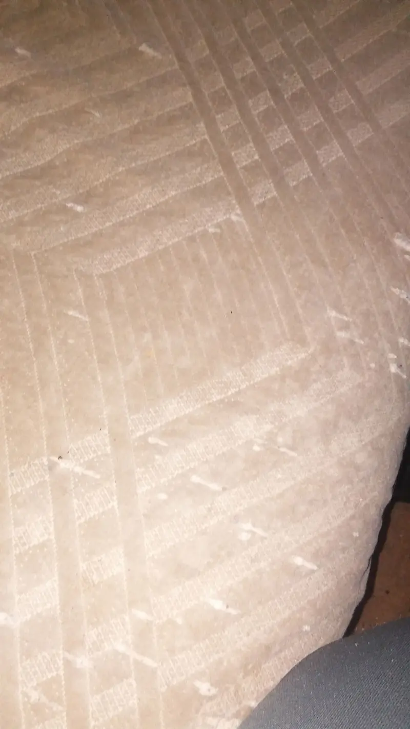 crazywhiteboyz104 from US