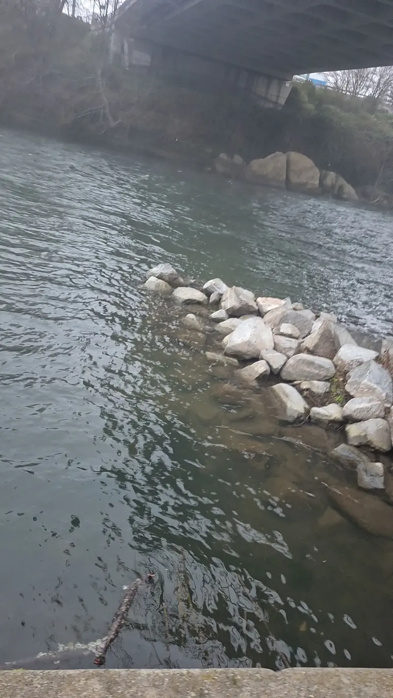 cvxjud (18) male from US - sexting partner