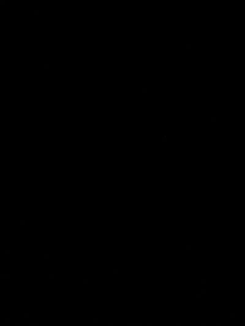 dandanallen1997 from US