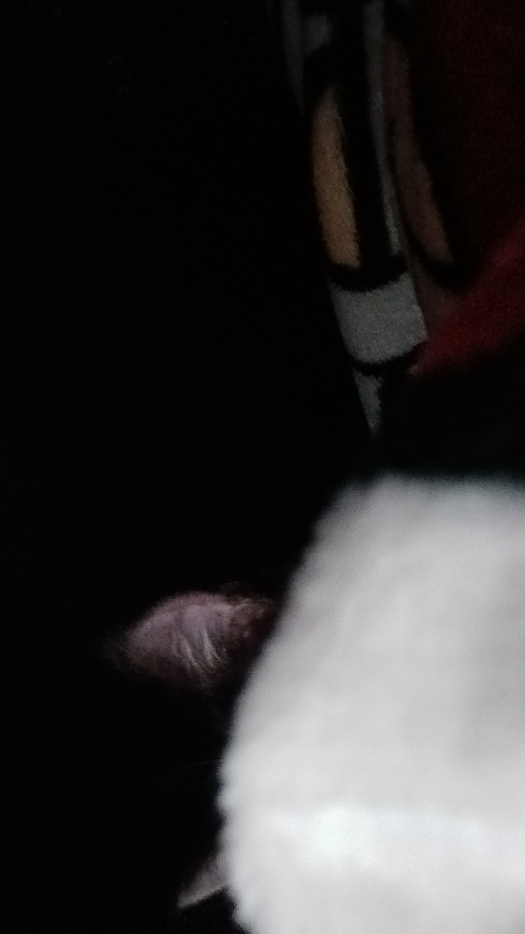 davidssam672 from US