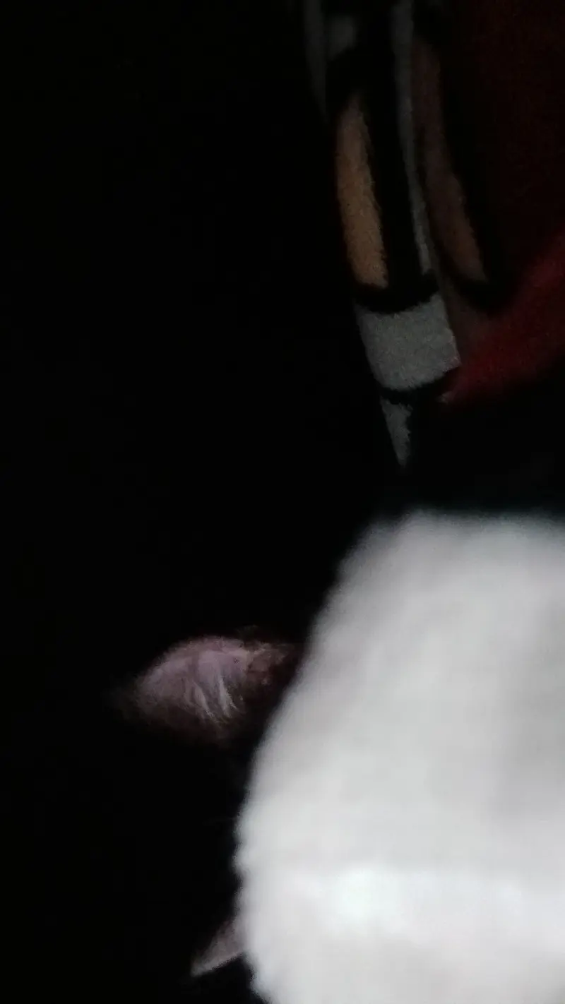 davidssam672 (21) male from US - sexting partner