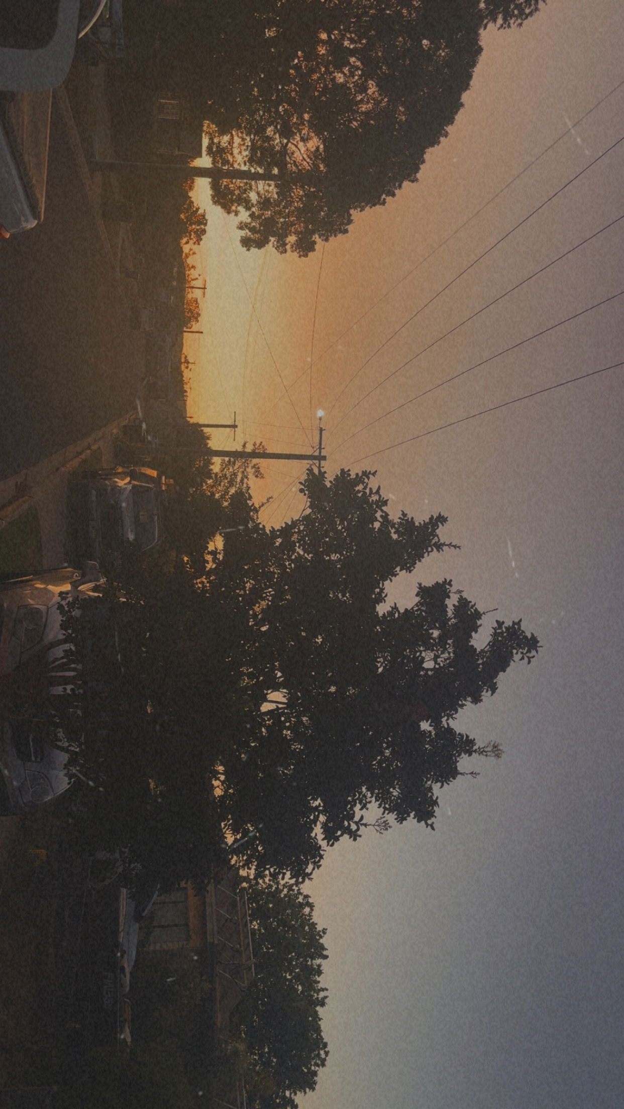 dogg48799 - United States sexting partner