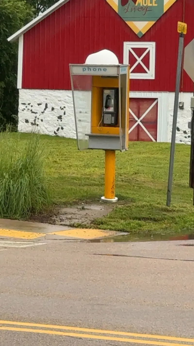 eatmoeh (19) male from US - sexting partner