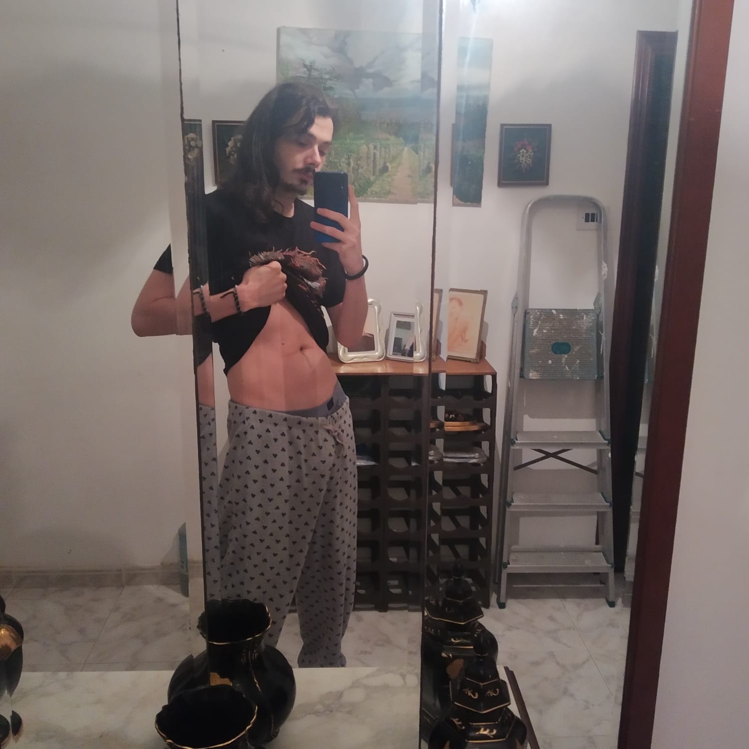 fiddlepalitos from ES