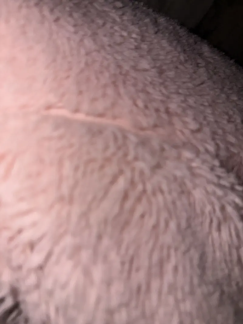 fp5675936 (19) male from US - sexting partner