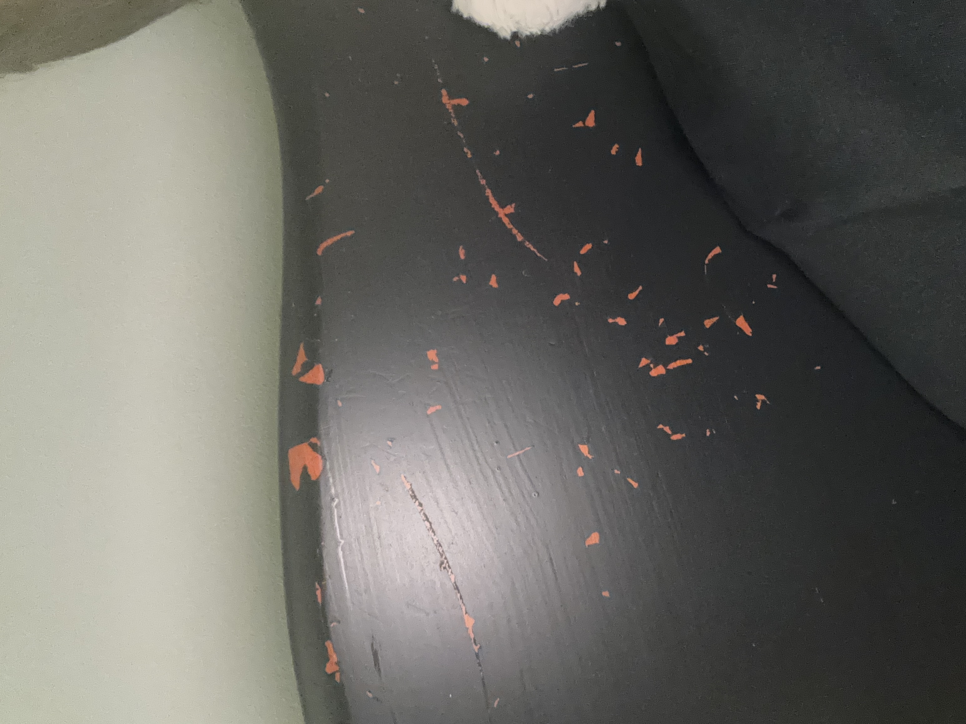 funhouseflies06 from CA