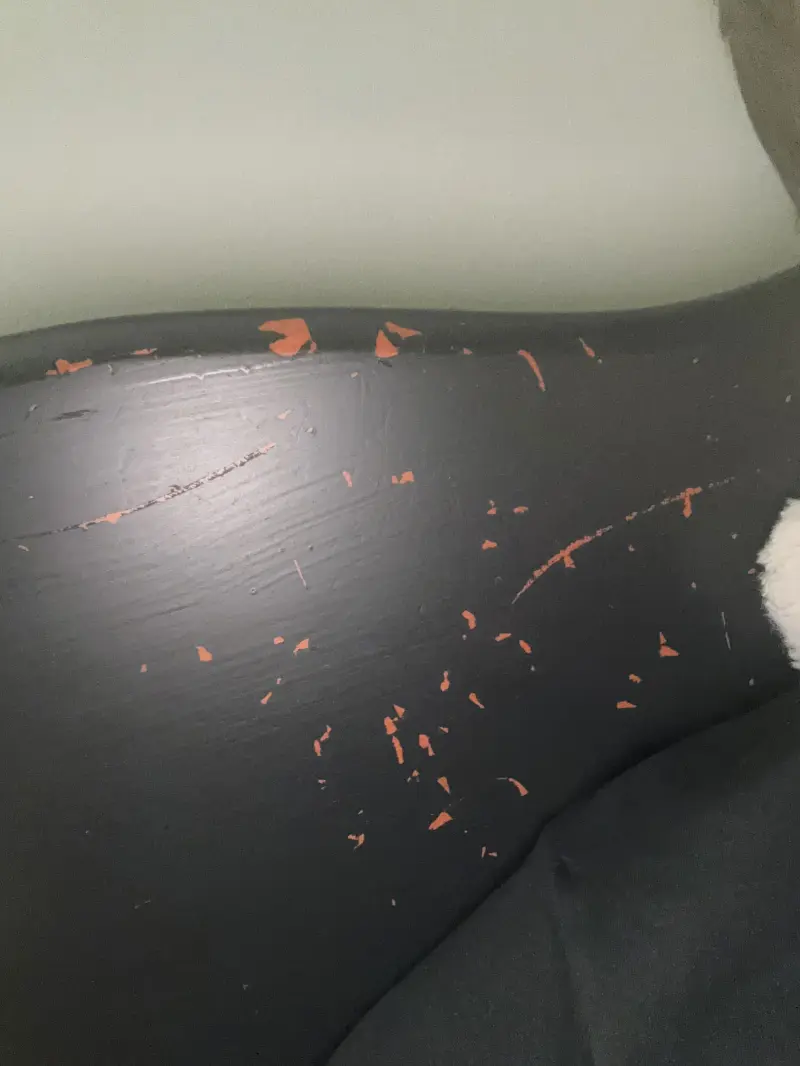 funhouseflies06 from CA