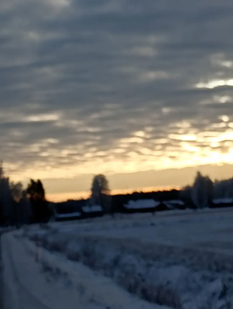 ginl26354 (18) male from FI - sexting partner