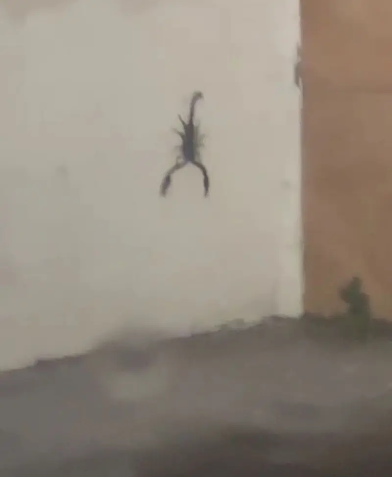 gmiejaZz (18) male from BN - sexting partner