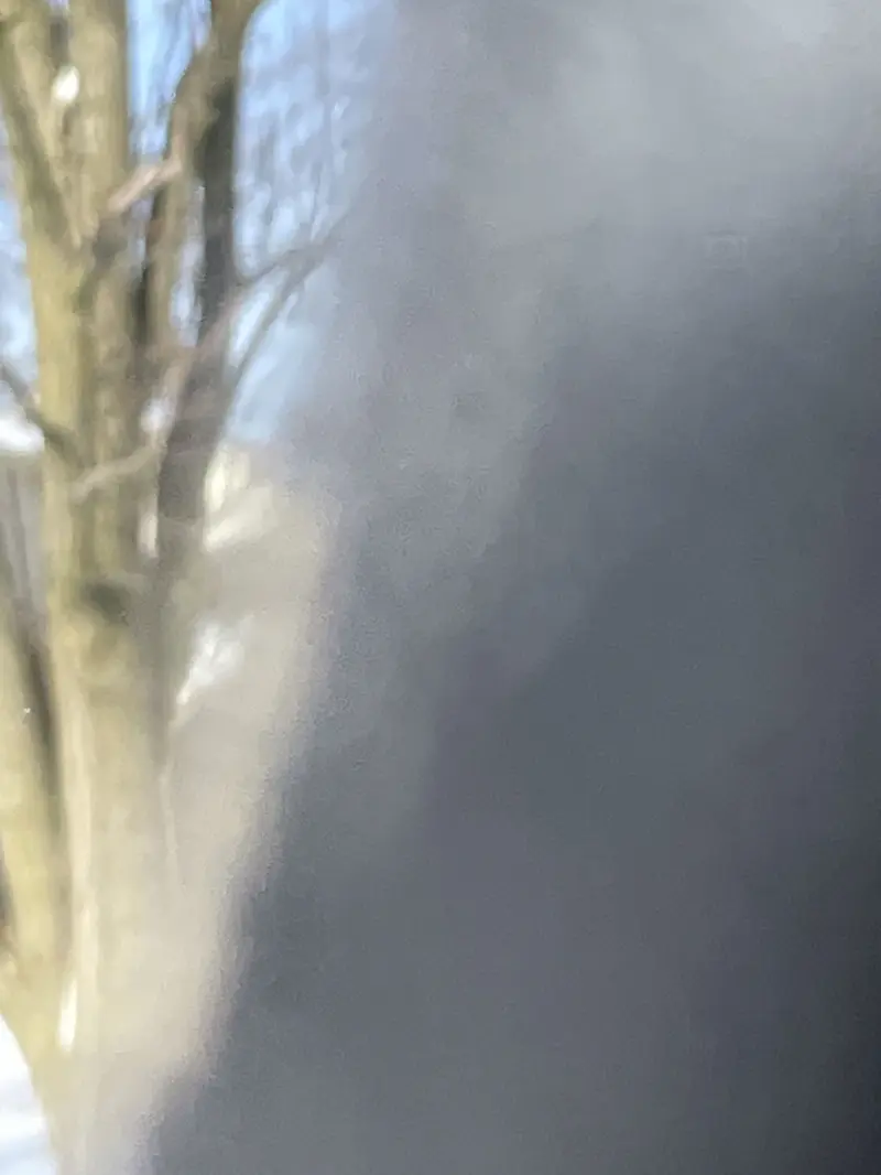 hey1559 (19) male from US - sexting partner