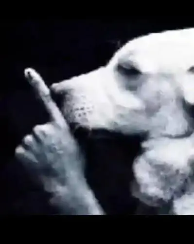 izzythegod562 from US