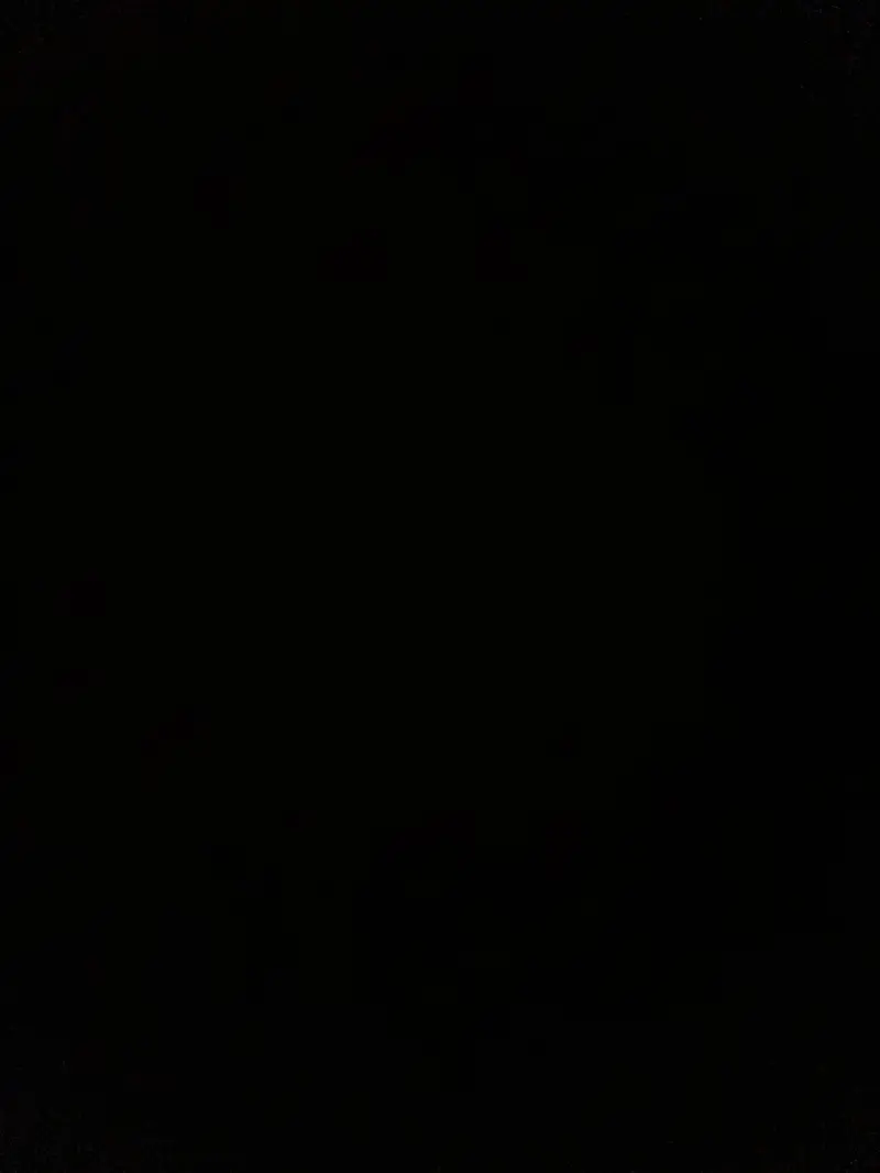 jack13 (24) male from NL - sexting partner