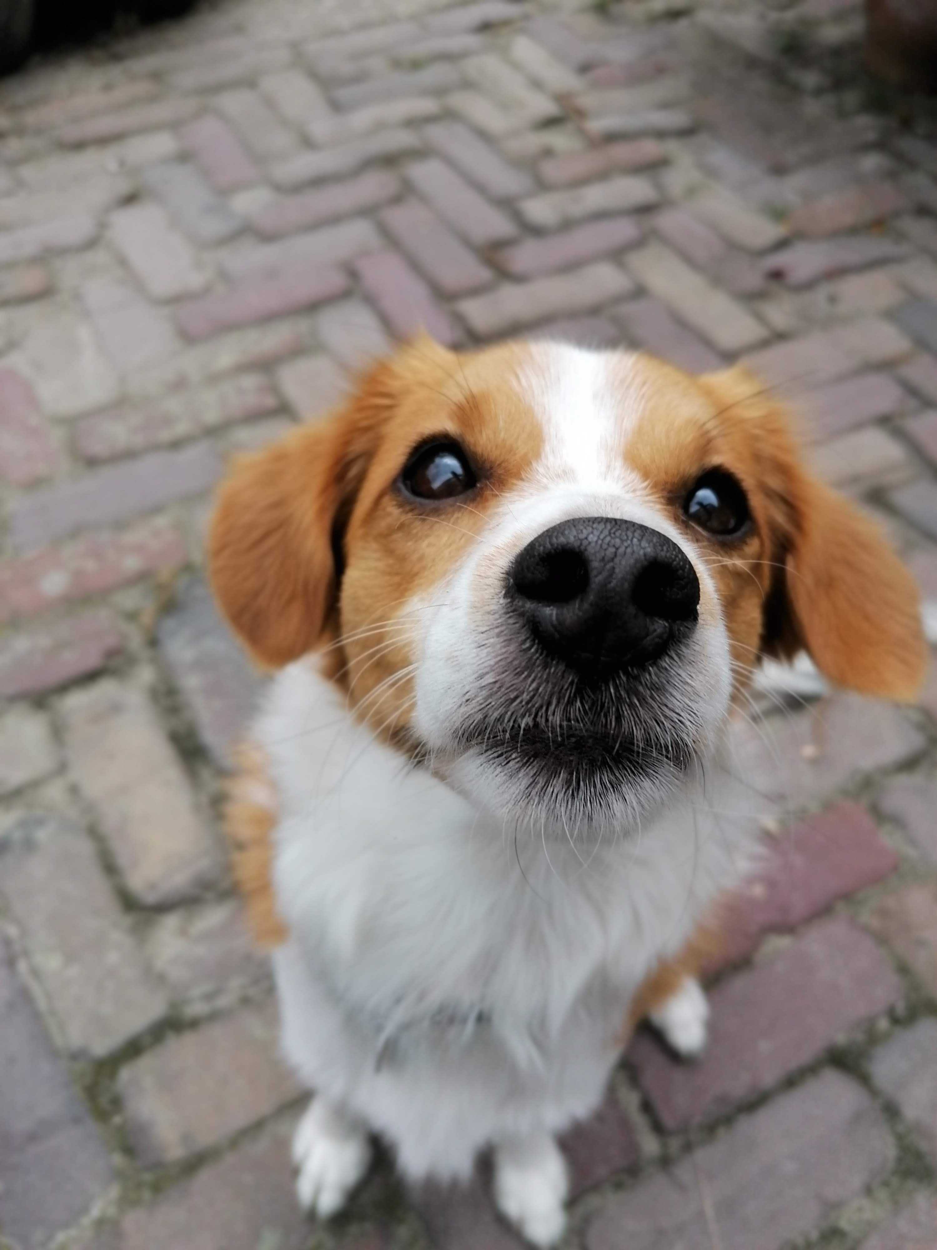 jan060895jong from NL