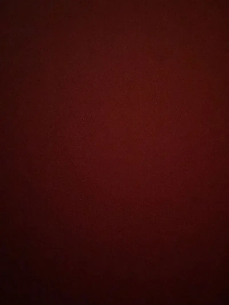 jaydenwlever27 from CA