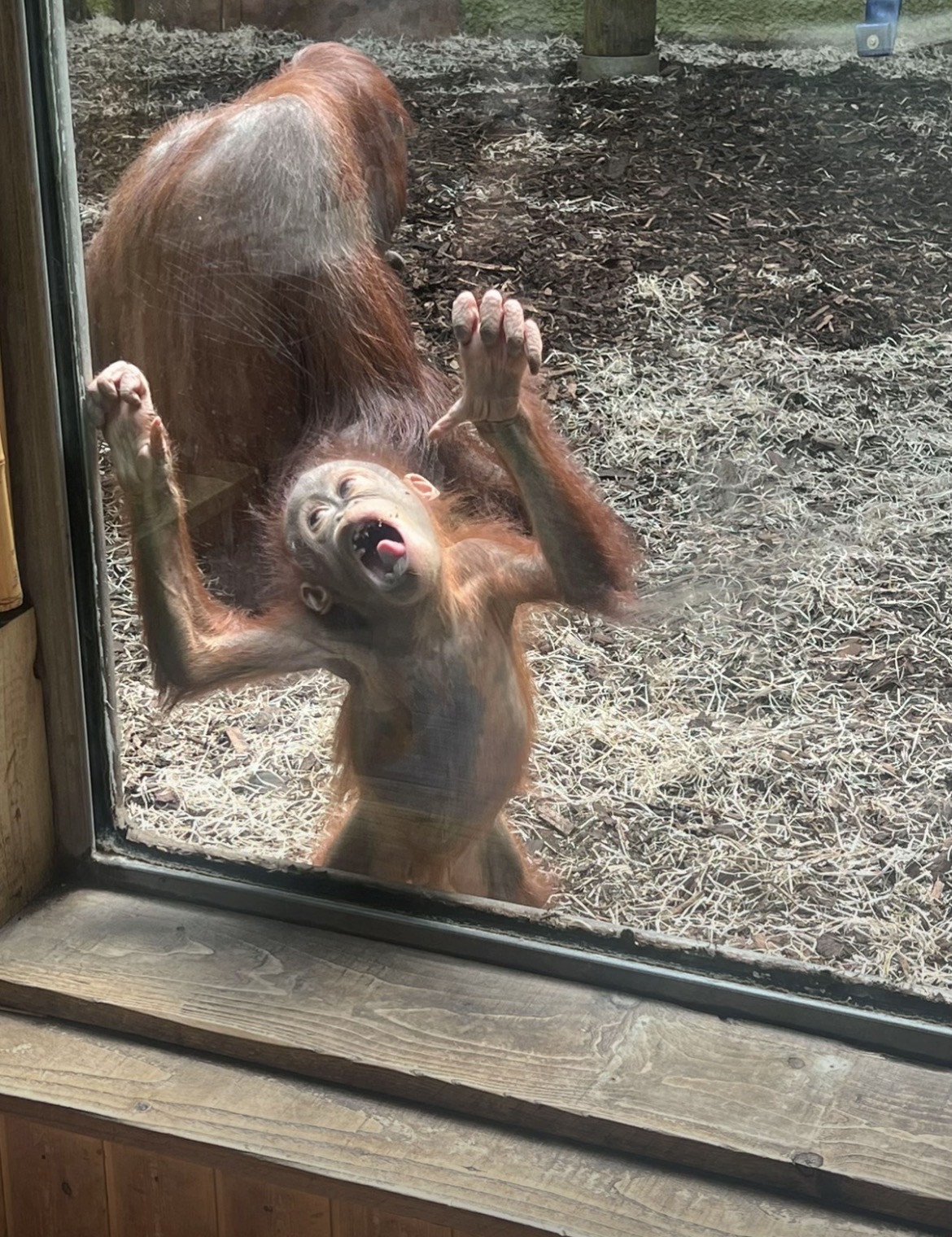 jaysonthebestateverything from US