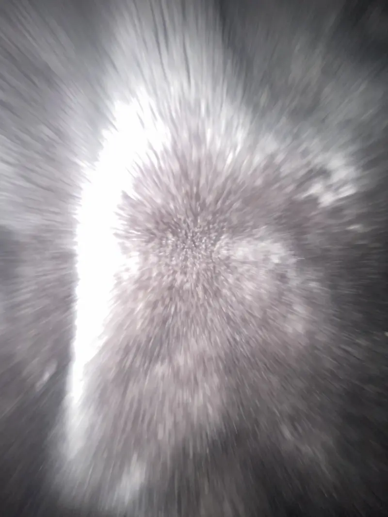 jizznator9 (22) male from AU - sexting partner