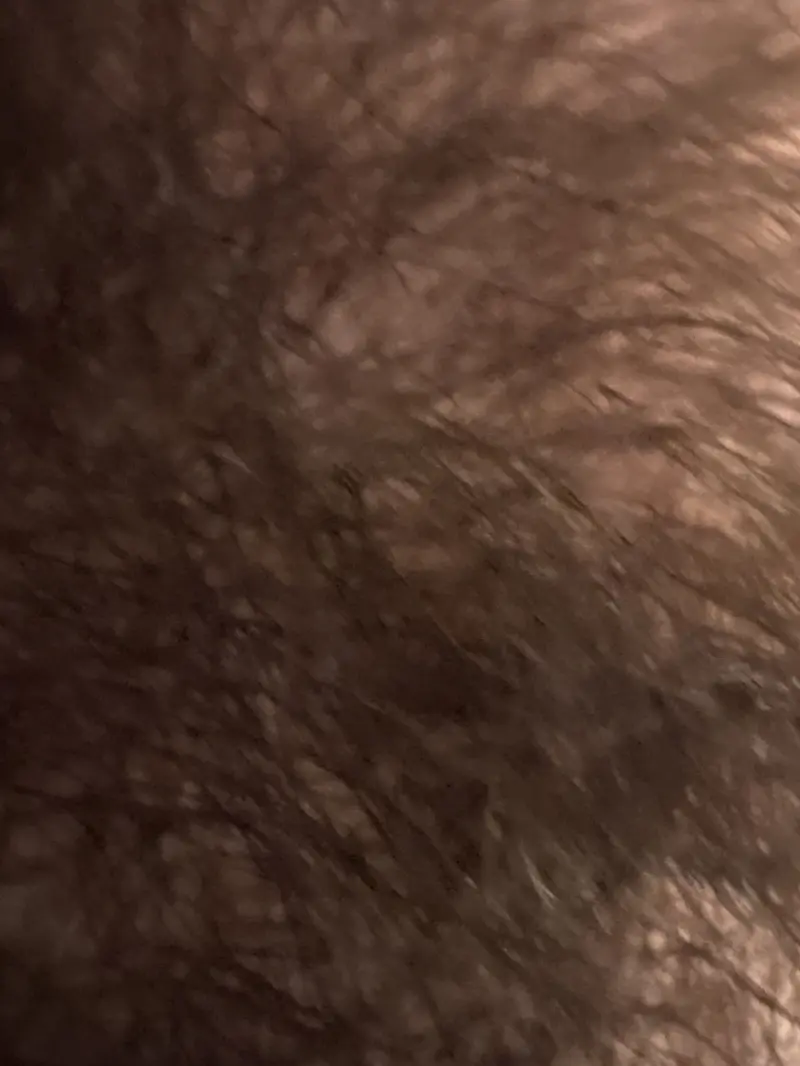 jontomaszewski11 (22) male from CA - sexting partner