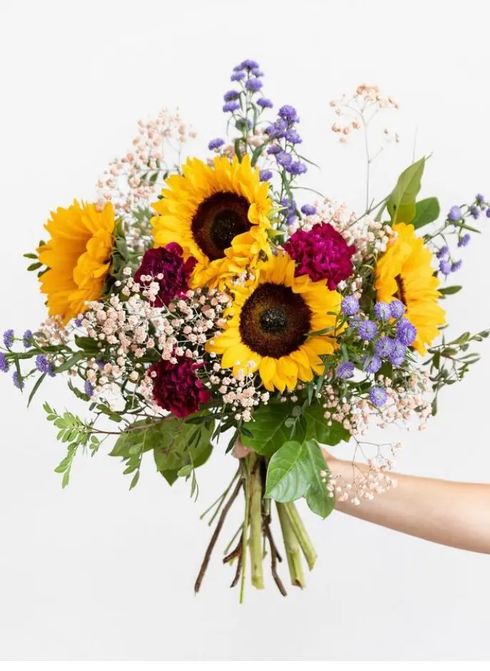 juanrodrgzparis from ES