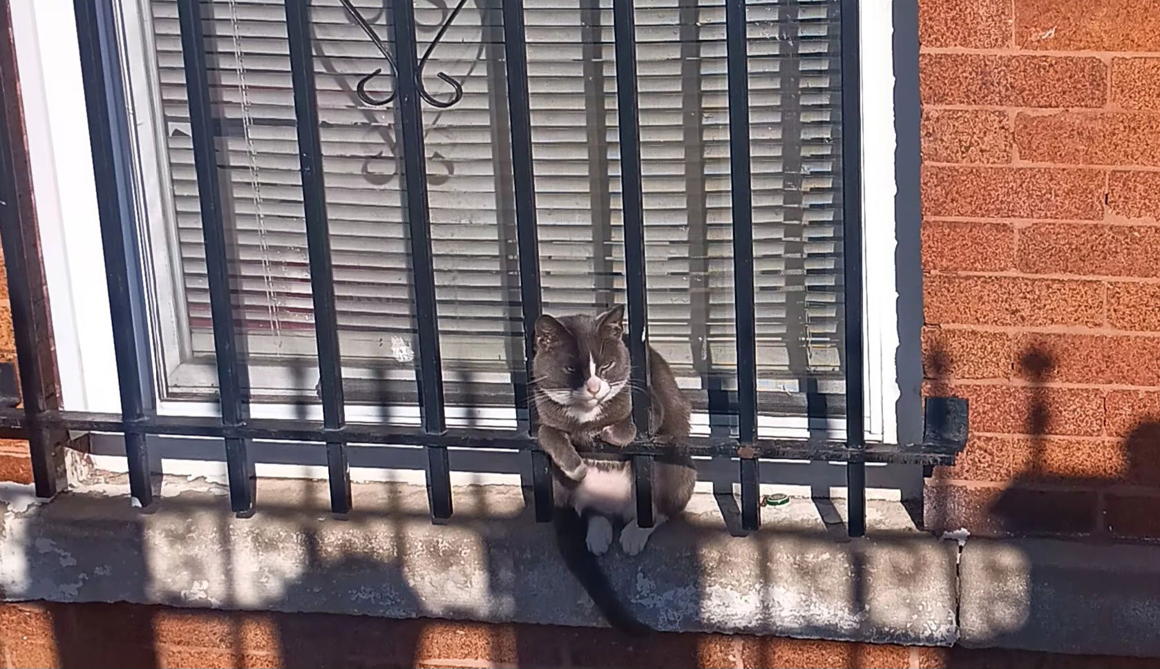 kaisotelo990 from US