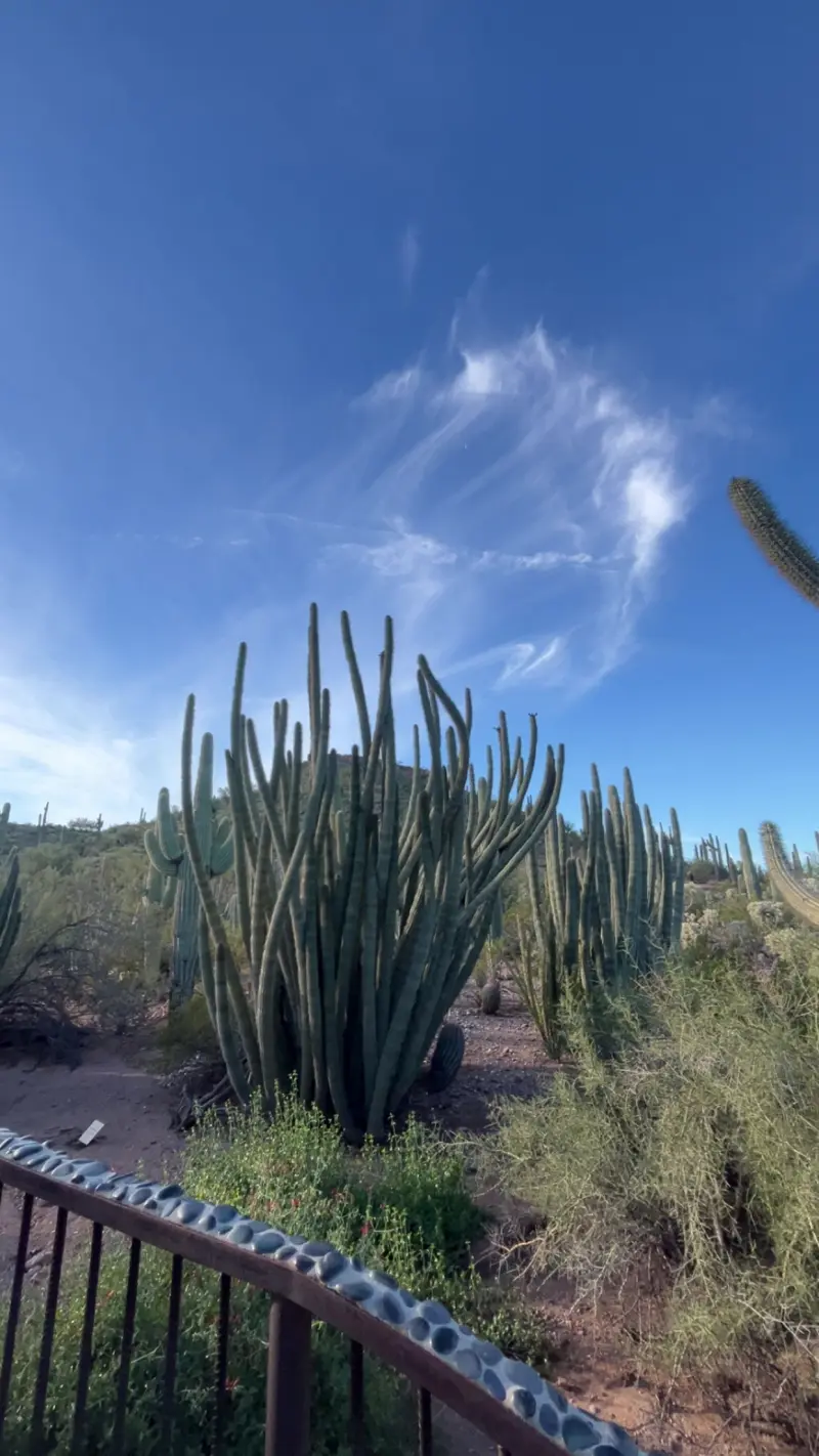 kamnam071010 from US