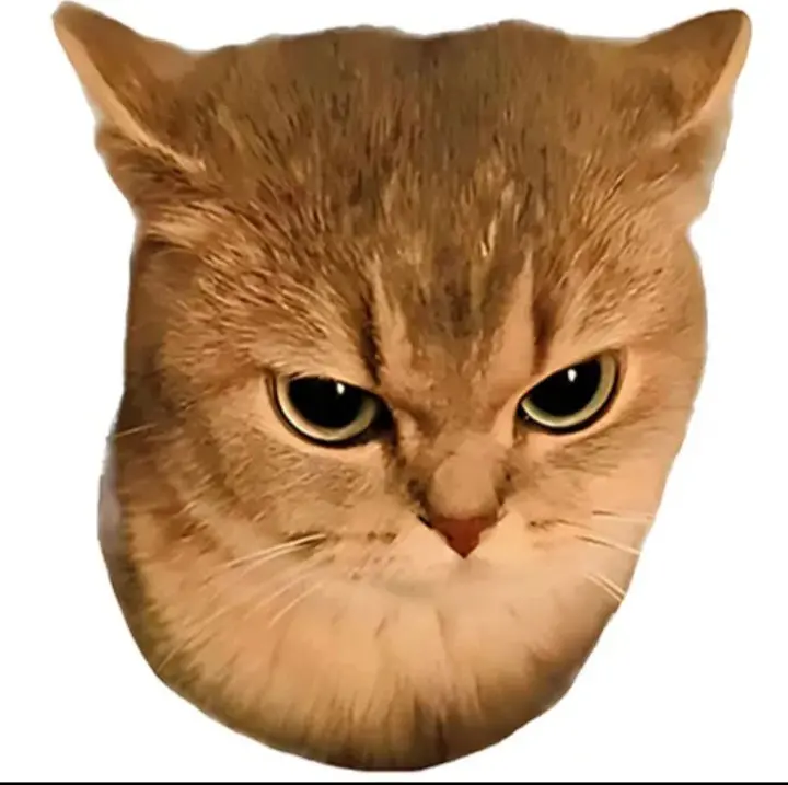 killuazodyck077 (18) male from PH - sexting partner