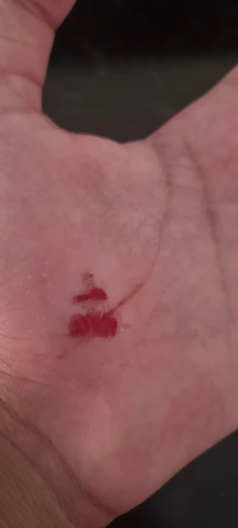 leo127 (20) male from AU - sexting partner